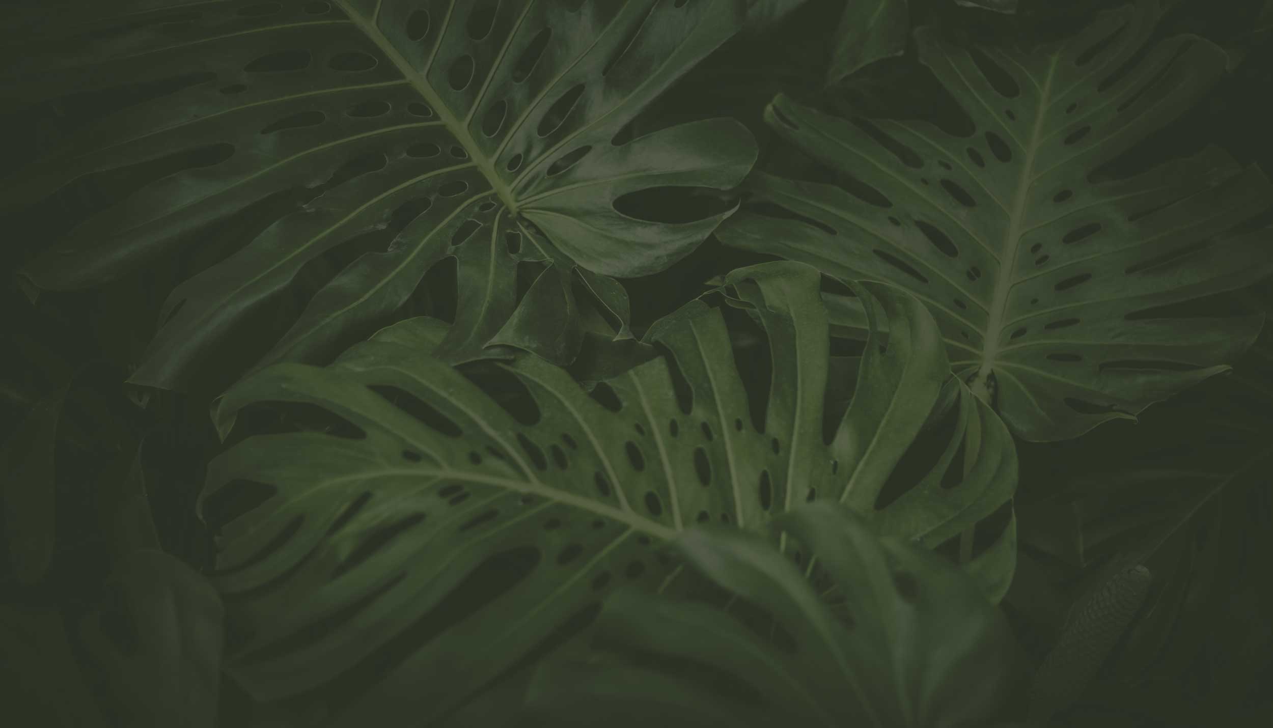 Suffolk Landscapes Changing The Landscape